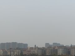 -九龙湖公园