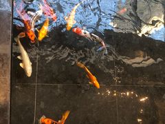 -天津海河悦榕庄·Lobby Lounge大堂吧