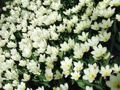 -长春公园(普阳街道)