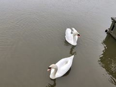 -宁波杭州湾国家湿地公园