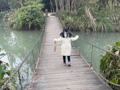 -桤木河湿地公园