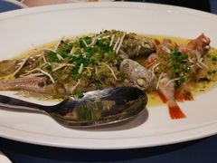 雪菜笋丝蒸小鲜-三利音·玖弄小鲜(浦东嘉里城店)