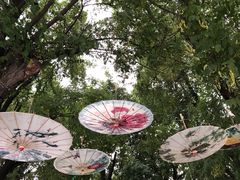 -西安汉城湖景区