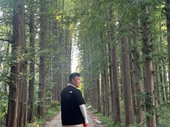 -日照海滨国家森林公园