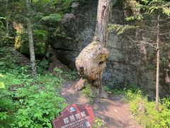 -汤旺河林海奇石景区