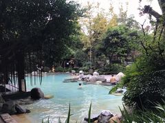 -青城道汤池