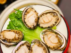 鲜活小鲍鱼-金龙·打边炉(武进路店)