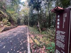 -潜山国家森林公园