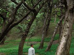 -七曲山风景区