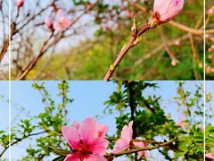 -临汾涝洰河生态公园