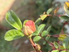 -钟山体育运动公园