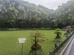 -申粤轩酒楼·三十年粤菜经典(丁香花园店)