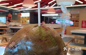 Hainan Large Green Coconut