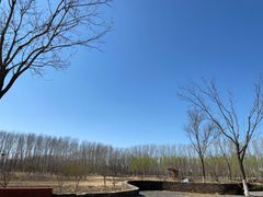 -东郊湿地公园