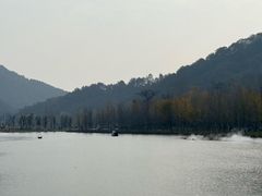 -千年银杏谷文化旅游区
