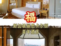 -新加坡丽思卡尔顿美年酒店