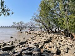 -宝安西湾红树林湿地公园