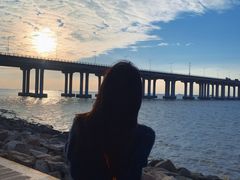 -宝安西湾红树林湿地公园