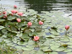 -同济大学(嘉定校区)