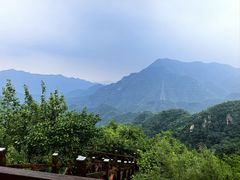 -大岭沟猕猴桃谷风景区