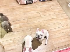 -Double Rui宠物酒店