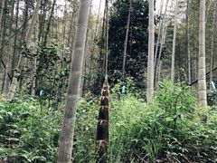 -法云古村