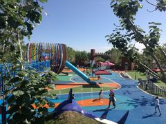 -永定河休闲森林公园