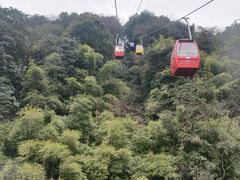 -缙云山景区