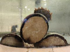 -旺顺阁海鲜广场(亚运村店)