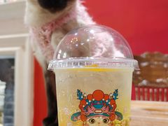 -猫色咖啡·猫咖
