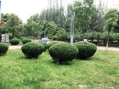 -满都海公园
