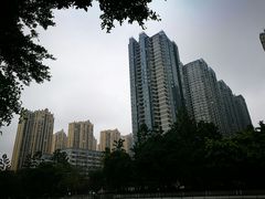 -光明港公园