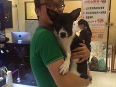 -Oh My Dog宠物沙龙(伊珊娜皮毛护理店)