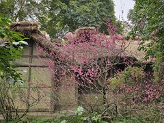 -成都杜甫草堂博物馆