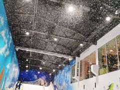 -Mr·Kuma酷么先生雪之乐园