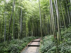 -南山风景名胜区