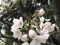 -星巴克(昆山花桥商务城店)
