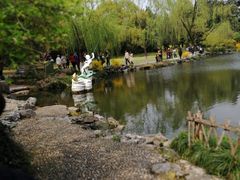 -西湖外事游船(花港观鱼码头)