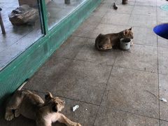 -秦皇岛野生动物园