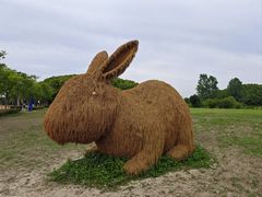 -嘉北郊野公园