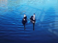 -鄂尔多斯野生动物园