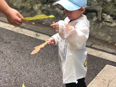 -三门江国家森林公园