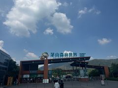 -句容茅山景区