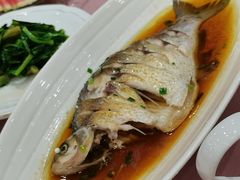 -上海银珠苑度假村-地面停车场