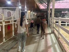 -名驭国际马术学院