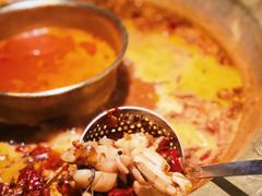 -哥老官重庆美蛙鱼头(圆融广场店)