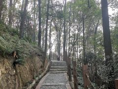-南山植物园