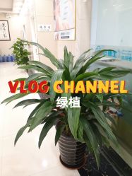-痘博士广州·全国连锁祛痘机构