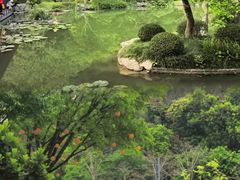 -云溪植物园
