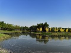 -东郊湿地公园